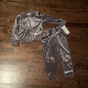 Toddler girls  sweat suit